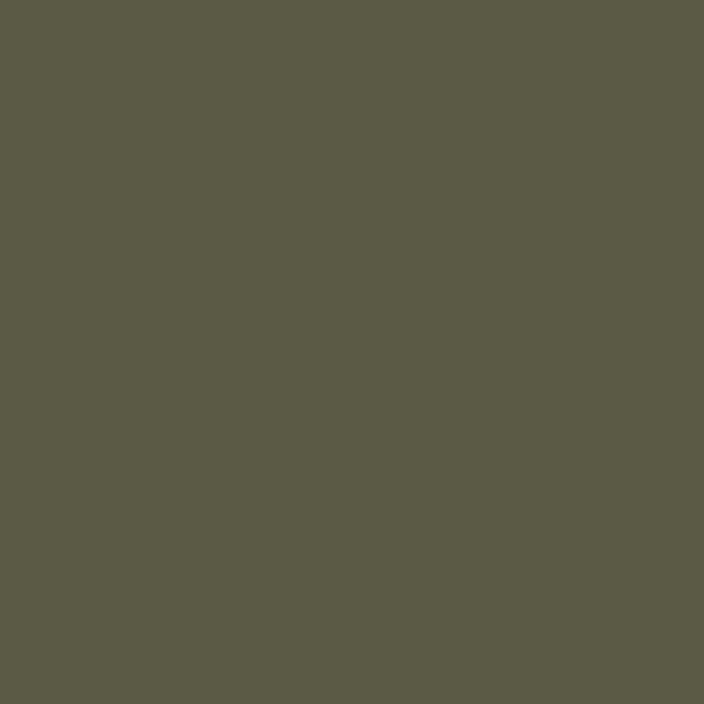 Mediterranean Olive green paint from Benjamin Moore