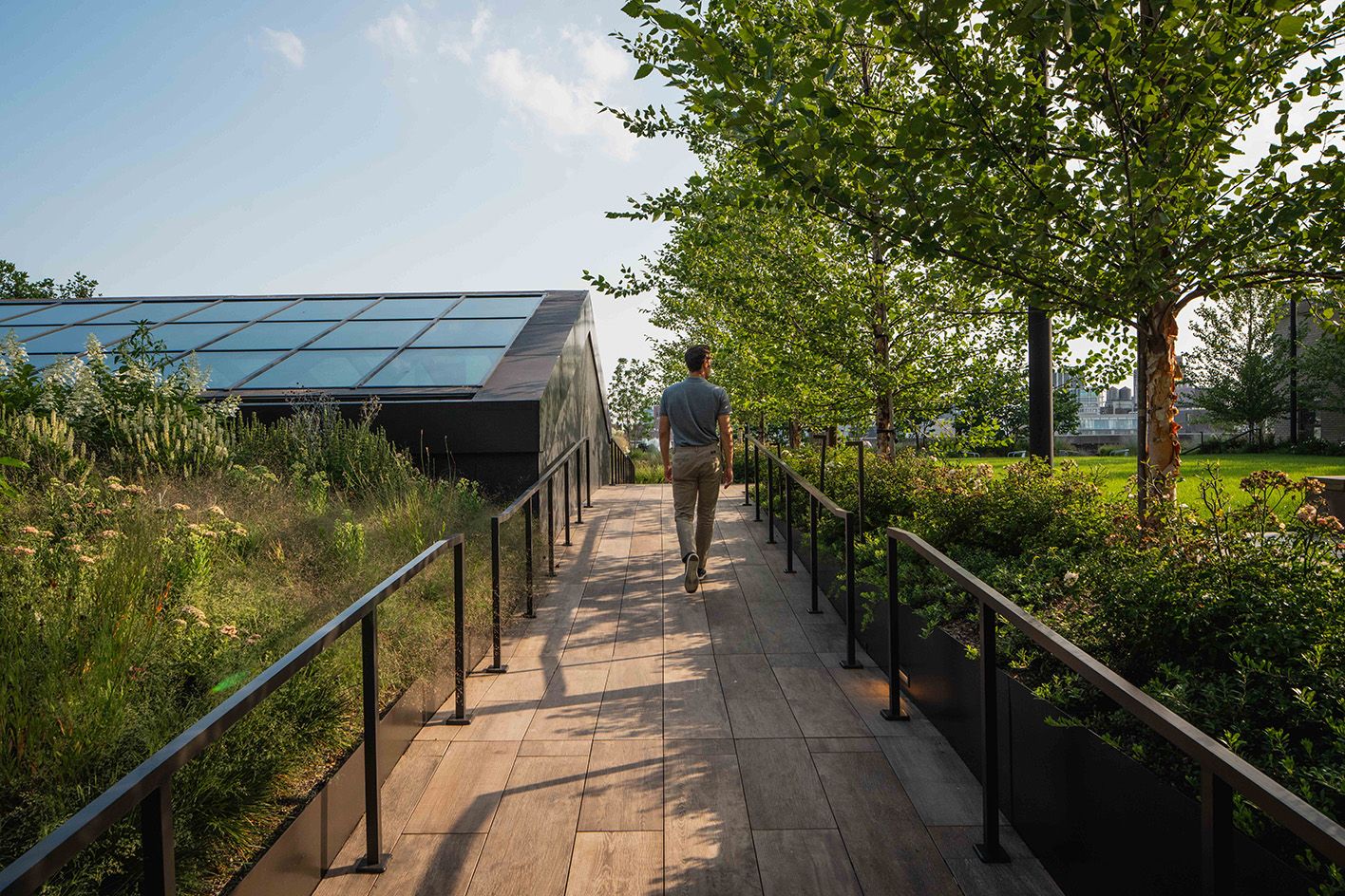 Morgan North garden path with man walking with back to us