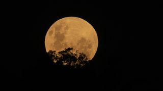 The Flower supermoon rises above Rylstone, Australia on May 26, 2021. According to NASA, supermoons can appear up to 14% larger and up to 30% brighter than the average full moon.