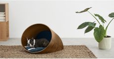 Made.com pet accessories: it has produced a stylish range of beds, blankets, bowls, houses and bags for pets