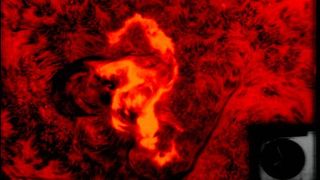 An orange and red solar flare looks a little bit like a seahorse.