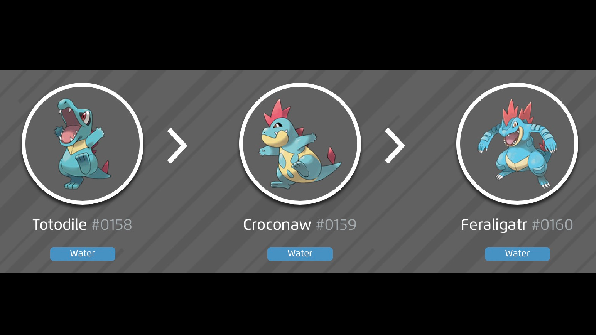 Totodile's evolutions