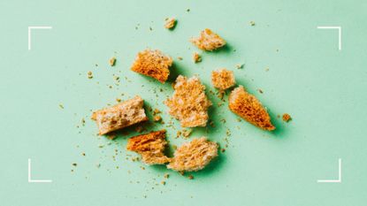 Pile of bread and toast crumbs on green background to represent crash dieting
