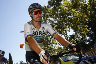 Peter Sagan: I tried my best