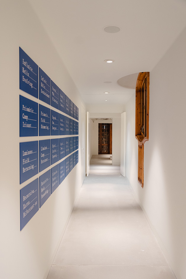 view of installation at casa batllo with a rippling ceiling