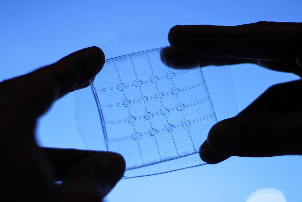 A close-up of the transparent touchpad before it is filled with gel electrodes.