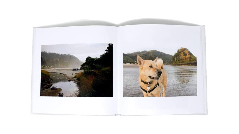 Amazon Prints Review Top Ten Reviews