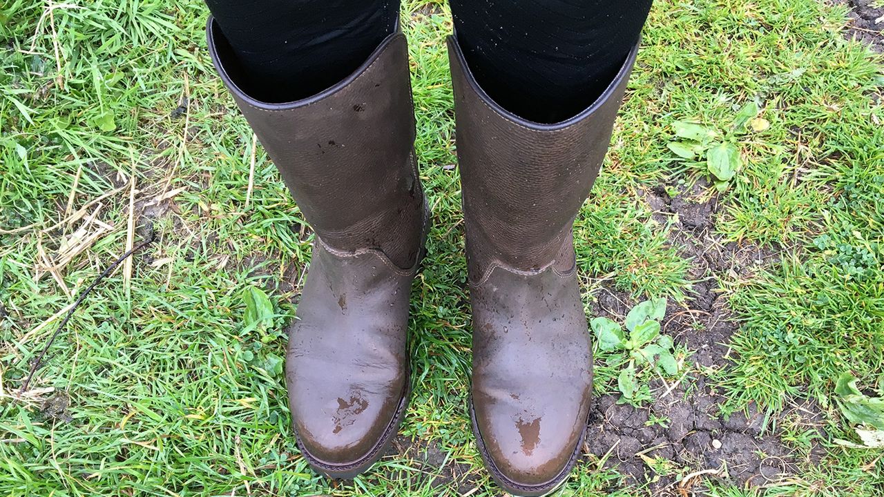 BareBack Footwear Quebec