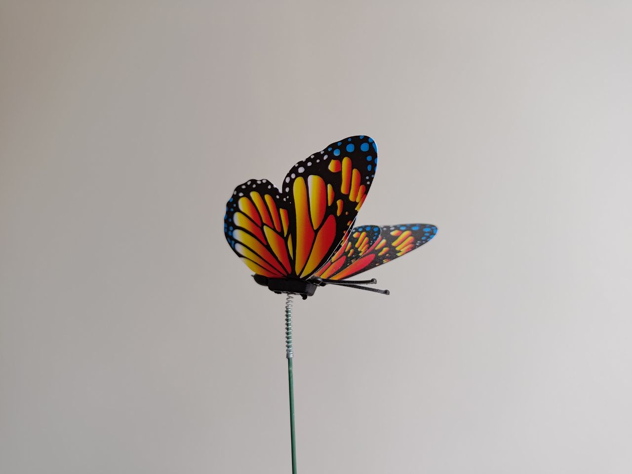 Photo captured on the Asus Zenfone 9