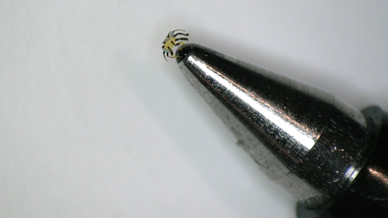 Robot on tip of a pen