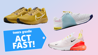 Silo of Pegasus 40, Metcon, and Airmax on blue and pink ombre background with Act Fast badge