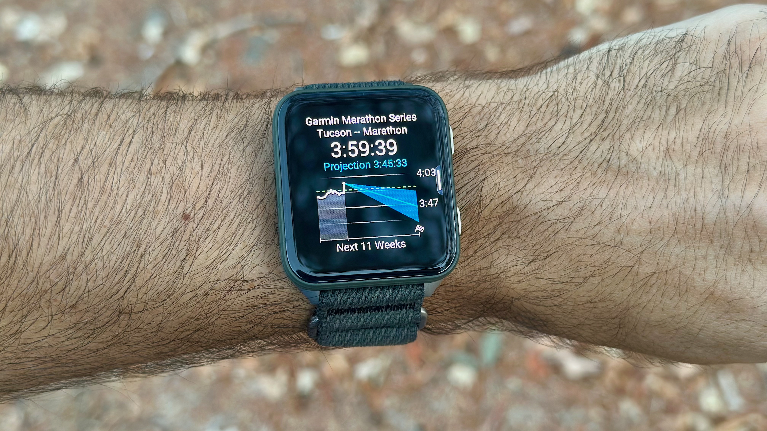 The Garmin Venu X1 on the author's wrist showing the Primary Race Predictor widget, with a current and projected marathon race time for the Garmin Marathon Series in Tucson in 11 weeks.