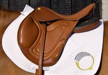 Quantum-saddle.jpg