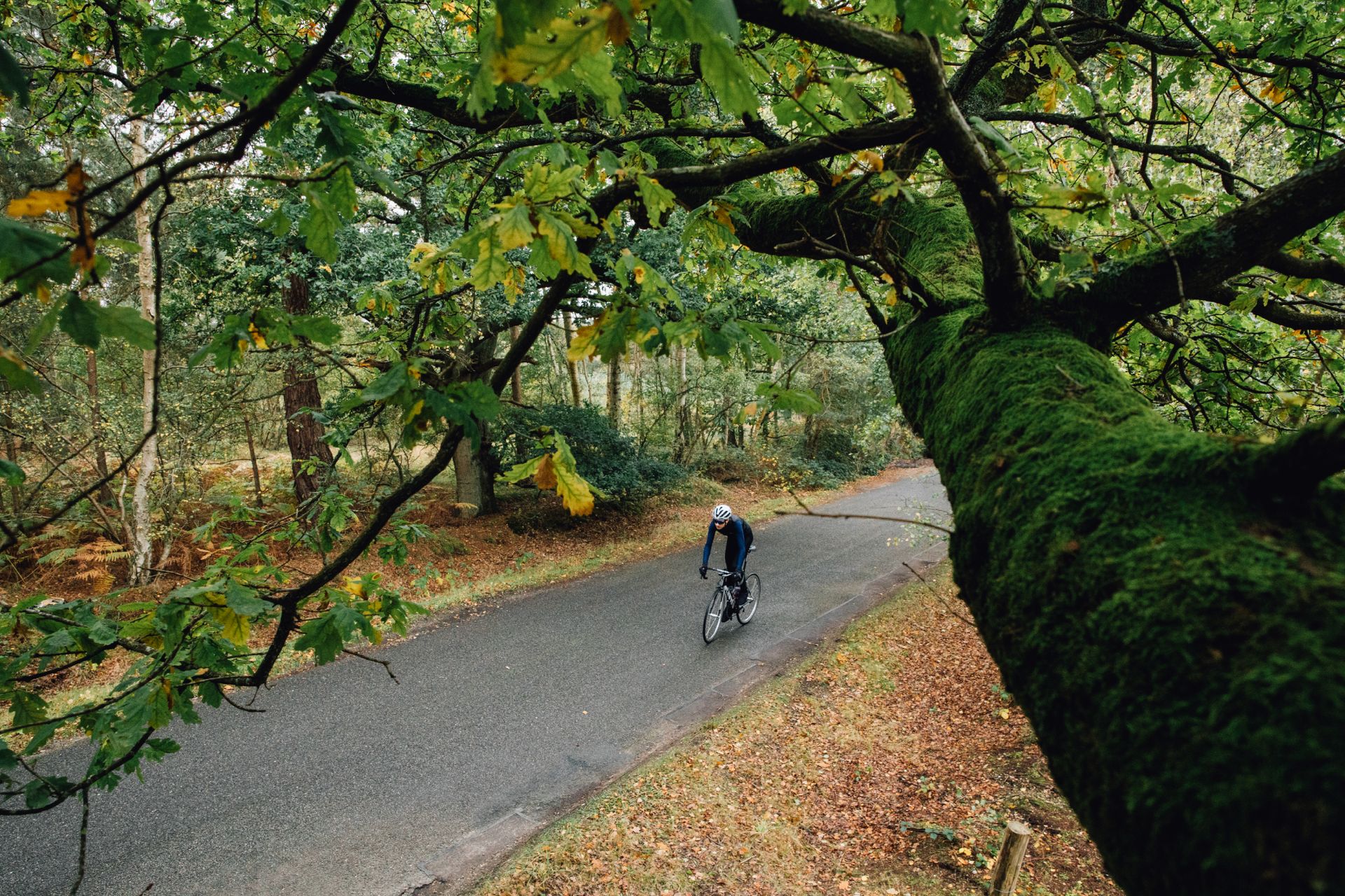 Cyclist riding at Zone 2 on an outdoor bike ride