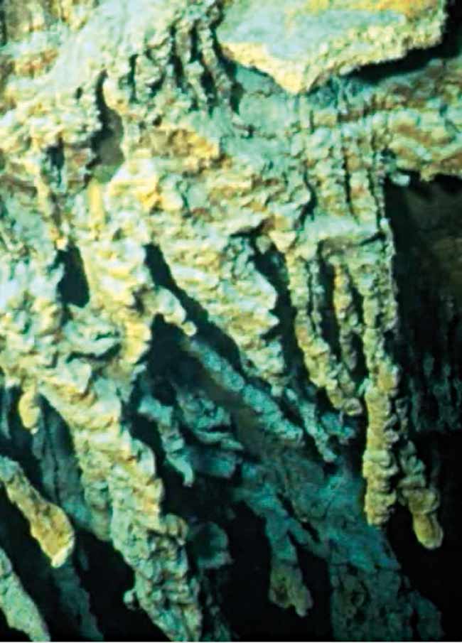 New Species of Rust-Eating Bacteria Destroying the Titanic | Live Science