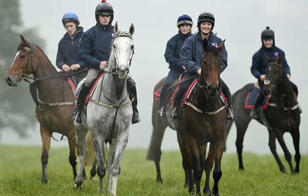 Morning exercise at Bell House