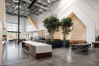 Office design: the latest trends in workspace architecture