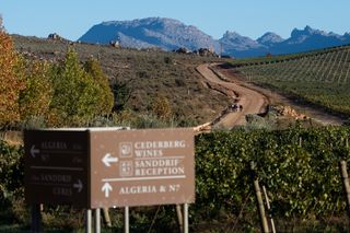 UCI Gravel World Series: Hayley Preen attacks on Uitkyk Pass to claim win at The Cedar while Filippo Colombo scores maiden gravel victory