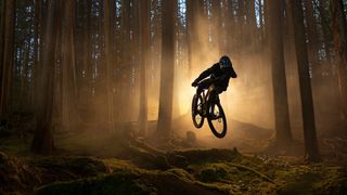 The Trek Fuel EXe eMTB flying through a forest while sunlight illuminates it from behind