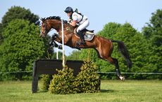 Young event horses to watch Bubby Upton Cola III