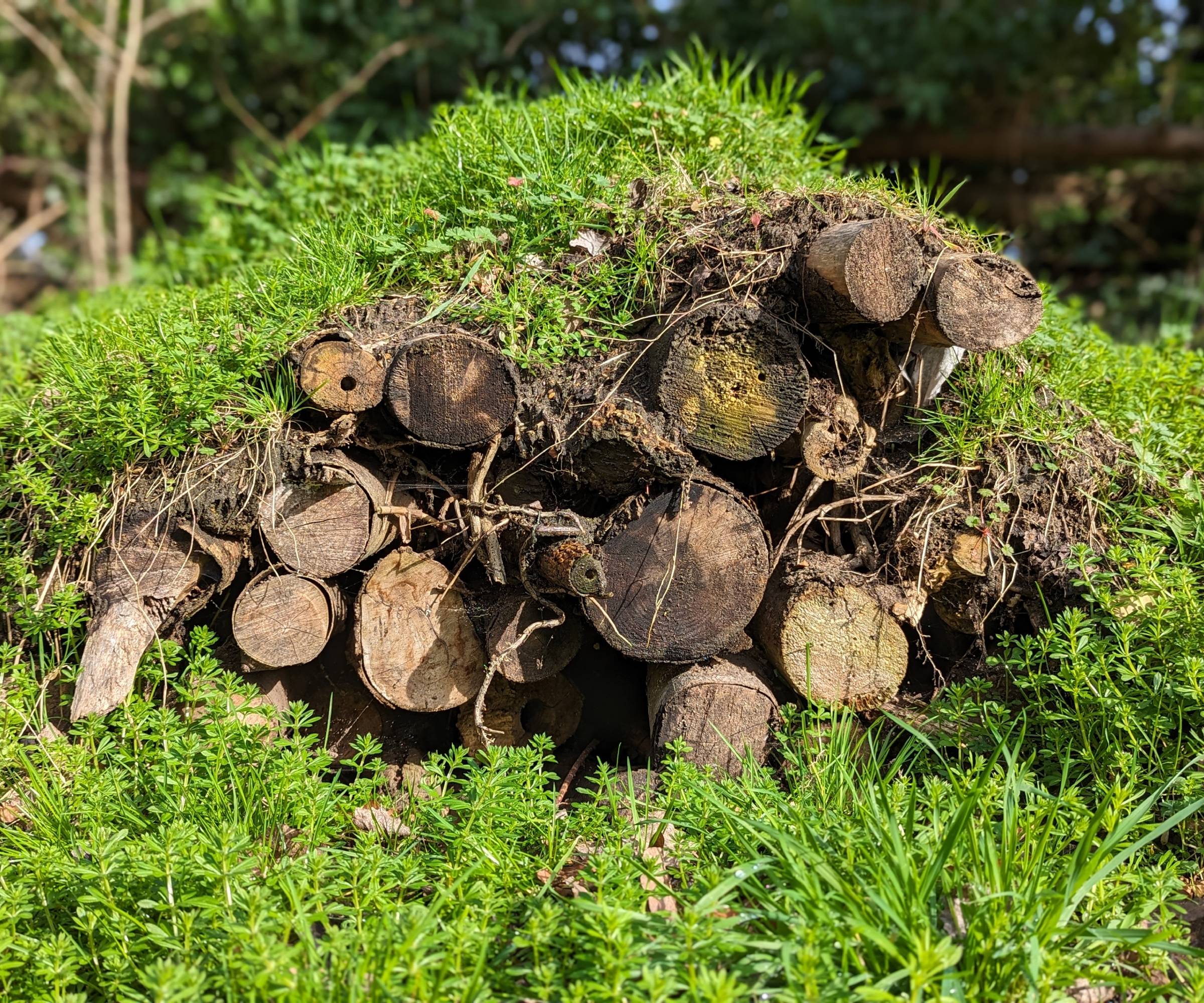 A pile of logs and grass for hibernating wildlife and insects