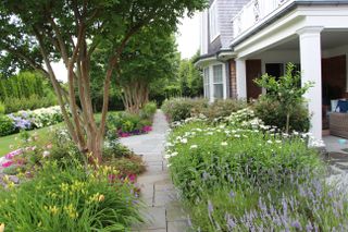 tree landscaping ideas with ianthus, phlox, clematis, lavender, nepeta, iris, pansy, petunia, hydrangea, and rose