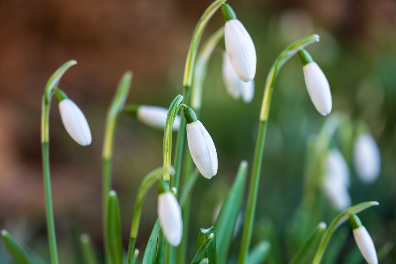 Sample image taken with a Fujifilm XF 16-55mm f/2.8 R LM WR II lens and Fujifilm X-T5 camera