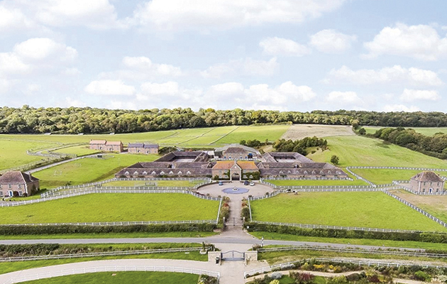 Whitcombe_Racing_Stables___Stud_63717782_168490222.jpg