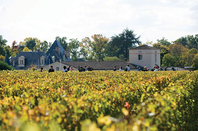 Ch&amp;acirc;teau Haut-Brion, harvest