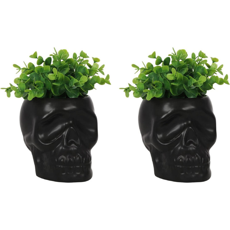 The Holiday Aisle&reg; Pack of 2 Matte Black Ceramic Day of the Dead Ghastly Skull Planters Bowls Pots Figurine 5.5" L Skeleton Head Gardening Planter Bowl Halloween Macabre Vessel Treat Container Decorative | Wayfair