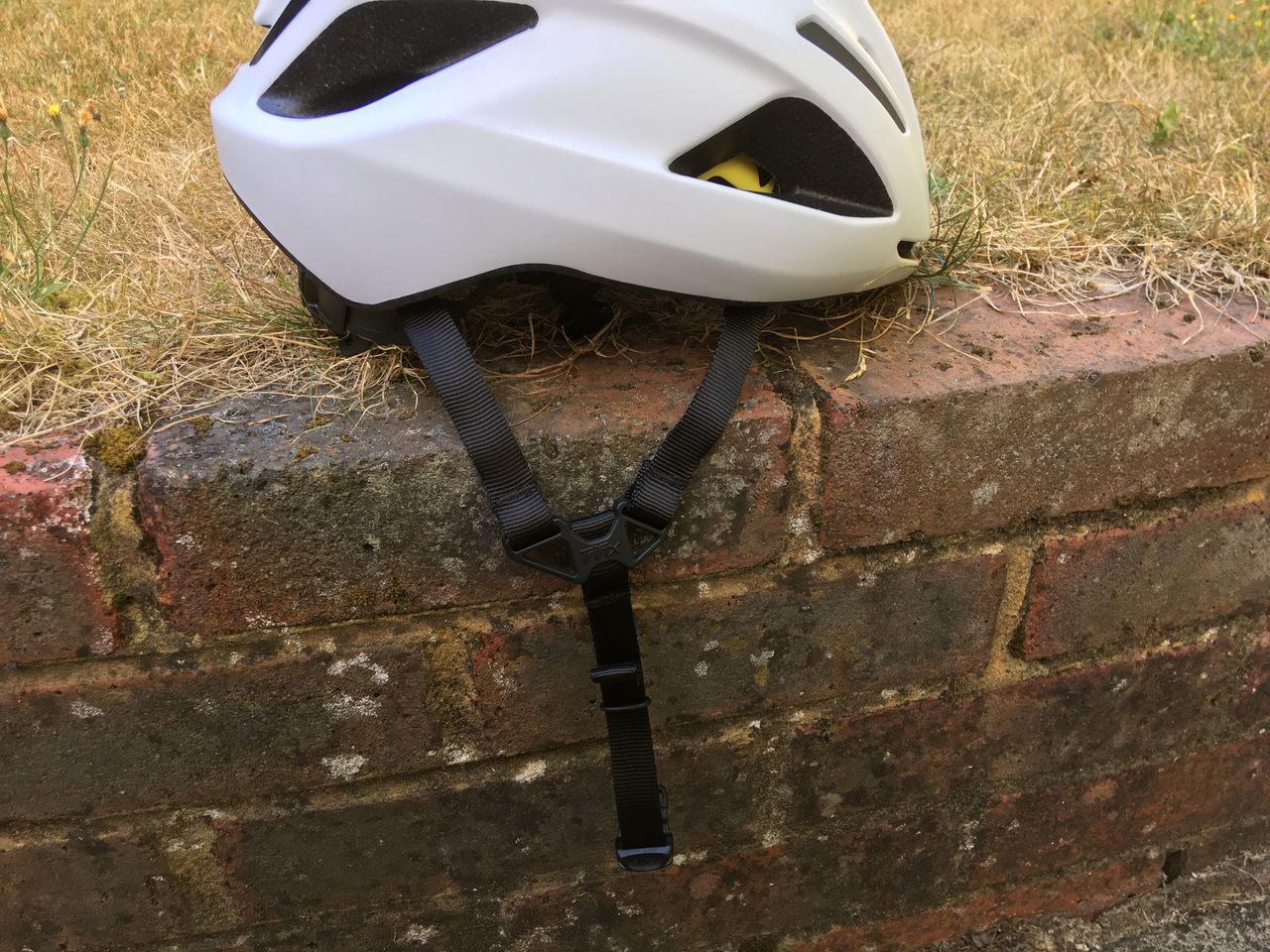 Specialized Align ii