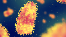 Rabies virus infection.