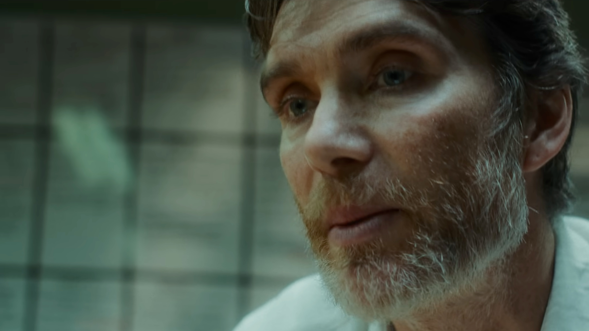 Steve on Netflix