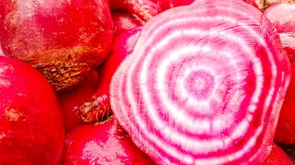 Red and white chioggia beets