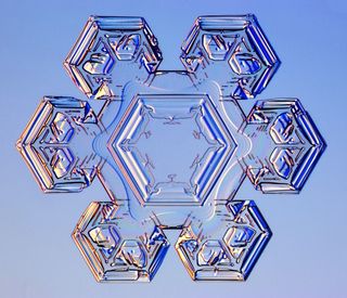 stellar plate, snowflakes, snow crystals, images of snow crystals, what snowflakes look like, snow crystal photographs, what snow looks like, snow flakes pictures, photographing snow crystals, snowflake images
