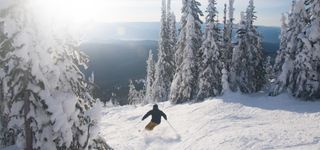 A person skiing down a mountain with bumpy terrain