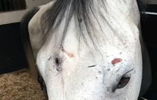 Case-study-head-2_116530671_208931131.jpg