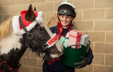 Colin-WHW-xmas.jpg