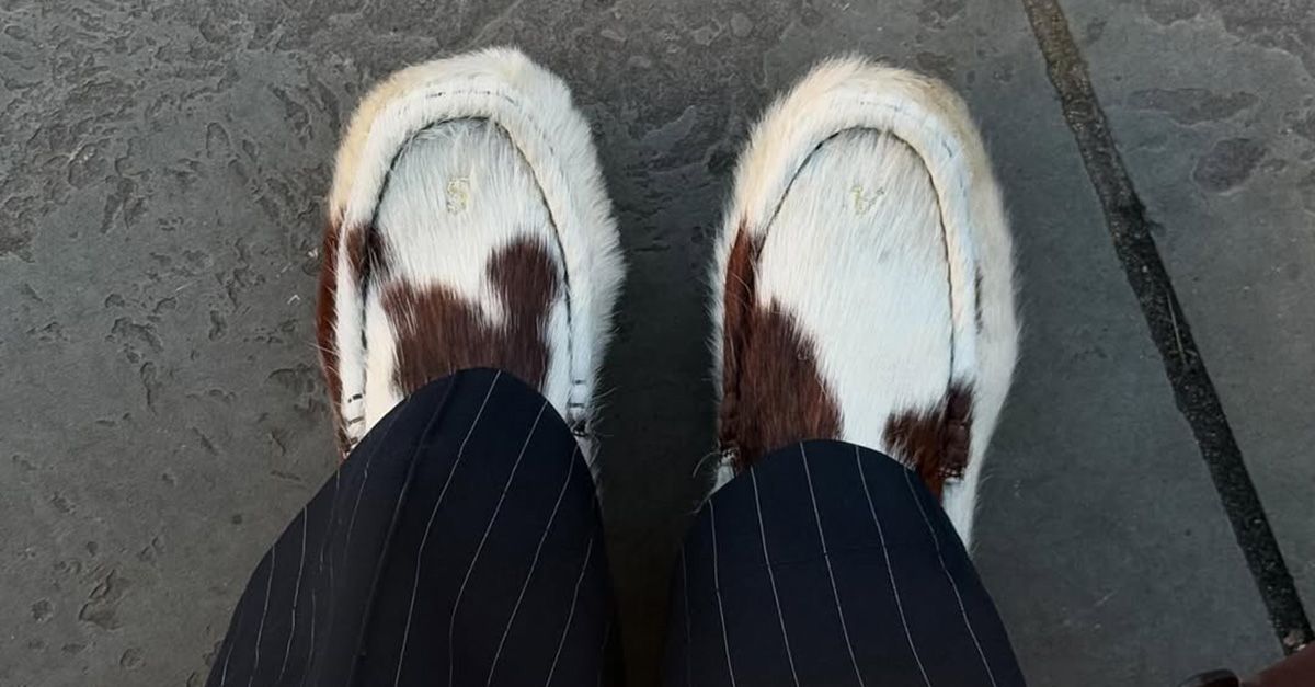 4 Printed Shoe Trends Set to Dominate in 2026