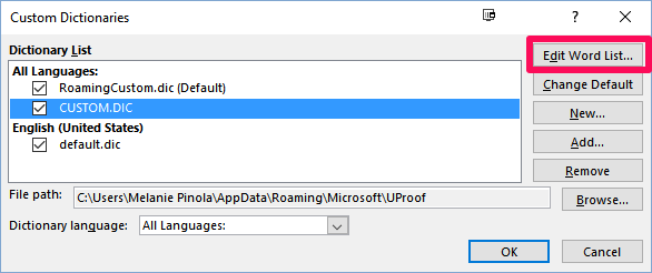 word custom dictionaries new