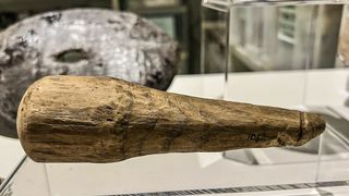 Stone Age carving may be ancient sex toy