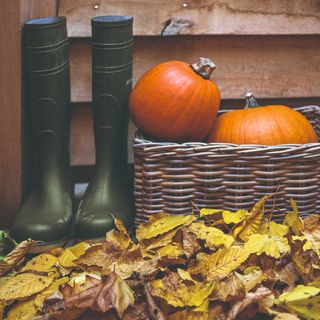 A pair of Wellington boots next to a basket of pumpkins with fallen leaves on the ground