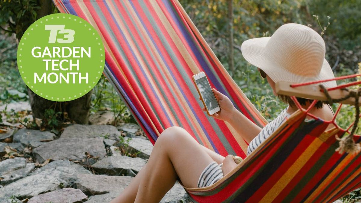 Adding Wi-Fi to your garden is easy if you have this… - Vimarsana News