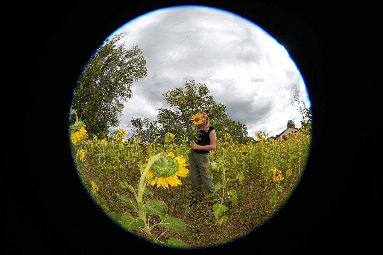 An image sample from the Sony FE 8-14mm f/3.5 Fisheye G