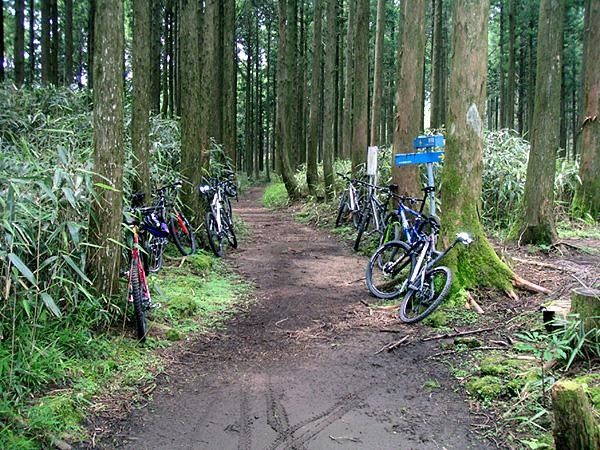 Our fleet of XTR-equipped bikes at rest on a very rare smooth section of the Kumano trail&hellip;