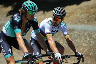 Daniel Oss and Peter Sagan talk during the stage