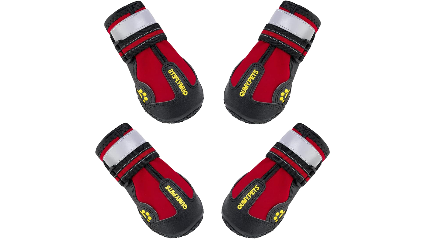 Qumy Dog Shoes