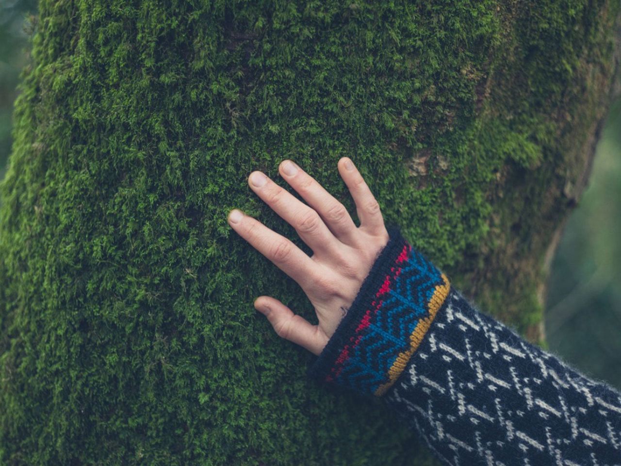 Hand Touching Moss Covered Tree