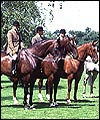 7C740DE2-021D-43EE-87E0-0DCD61BD22EE.jpg