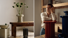 devin wilde x dwr collection